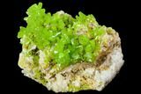 Apple-Green Pyromorphite Crystal Cluster - China #112205-1
